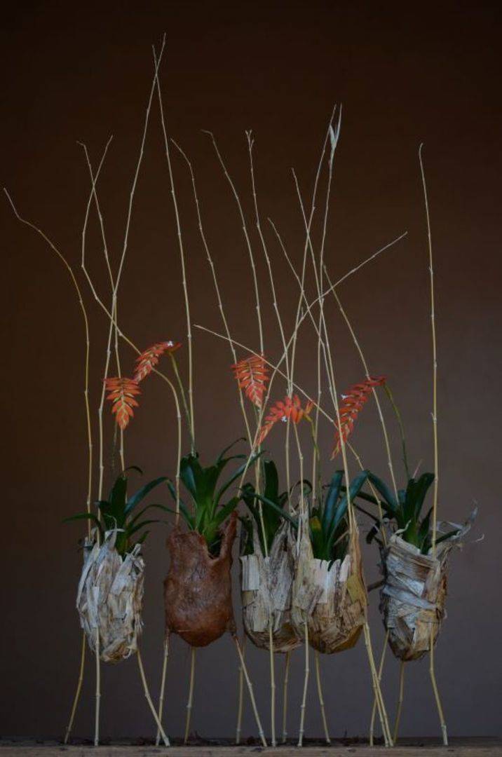 creations-plantesfleuriste-art-et-nature